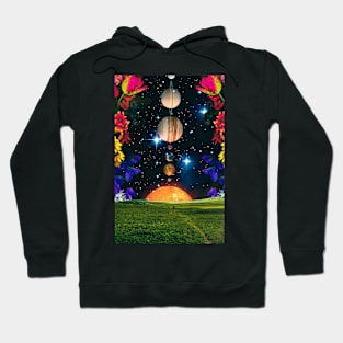 The Path To The Flowers Hoodie